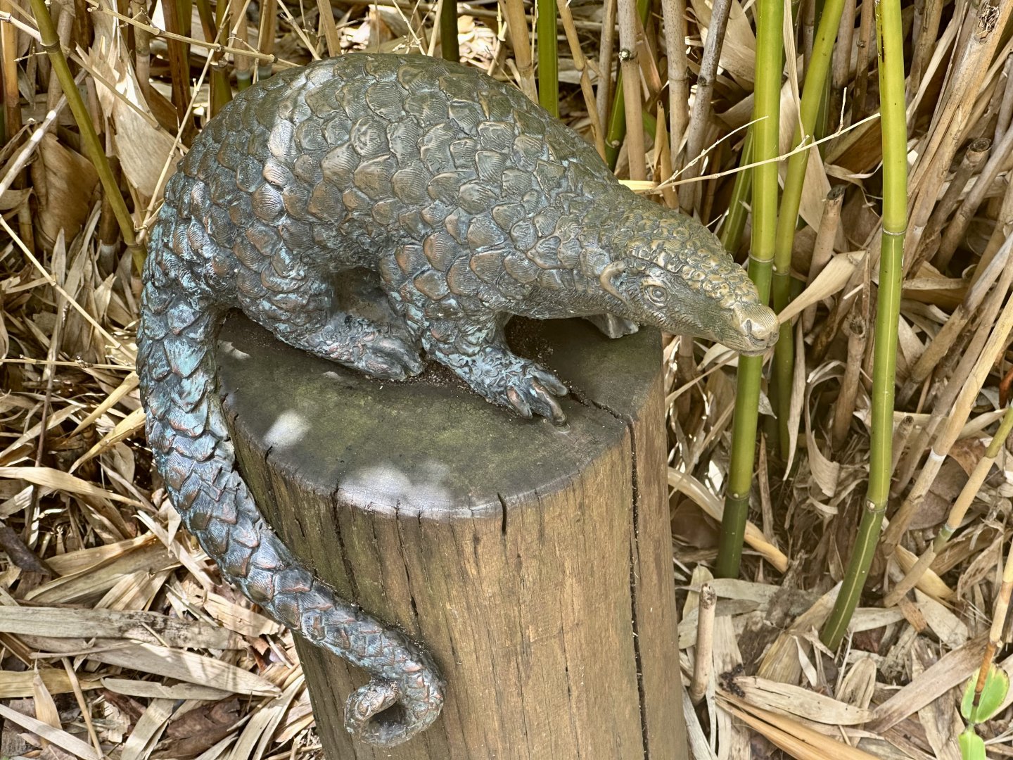 Tiger Trek - Pangolin Statue