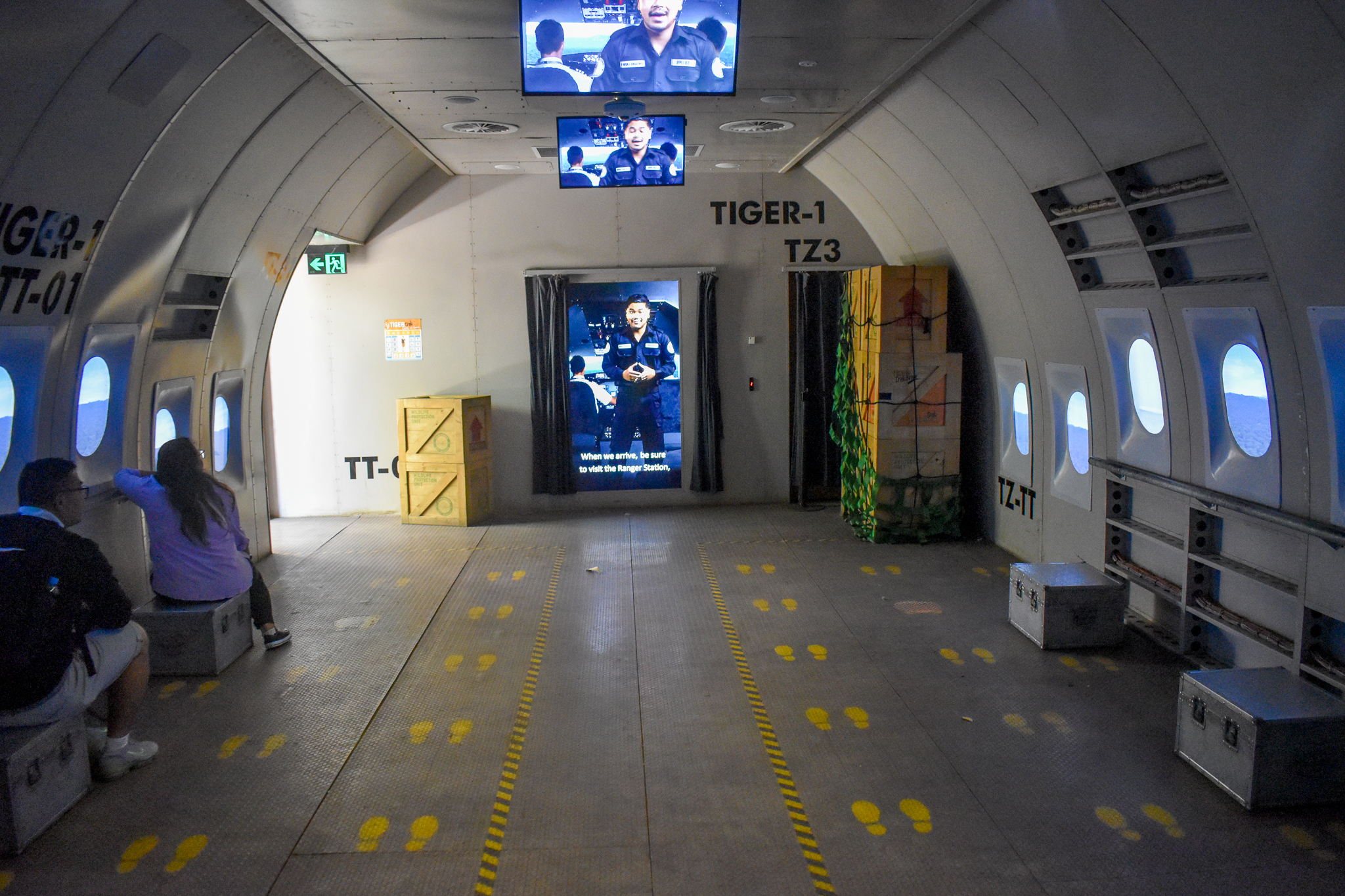 Tiger Trek - Plane Simulation