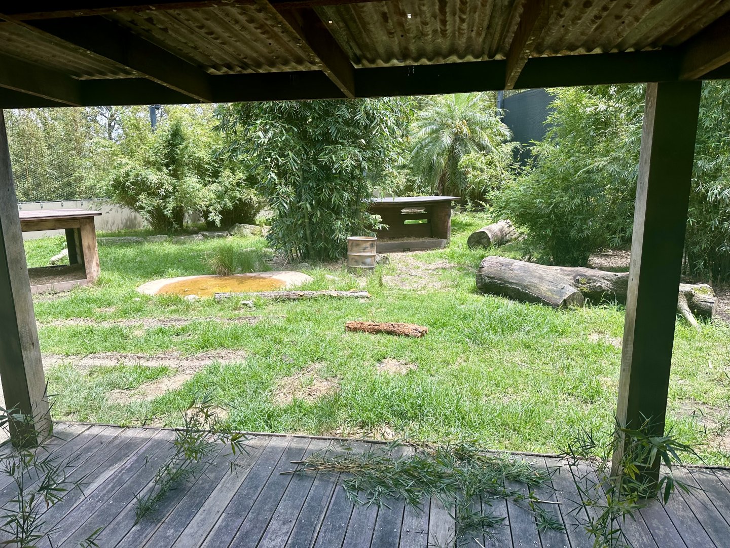 Tiger Trek - Ranger Station Exhibit