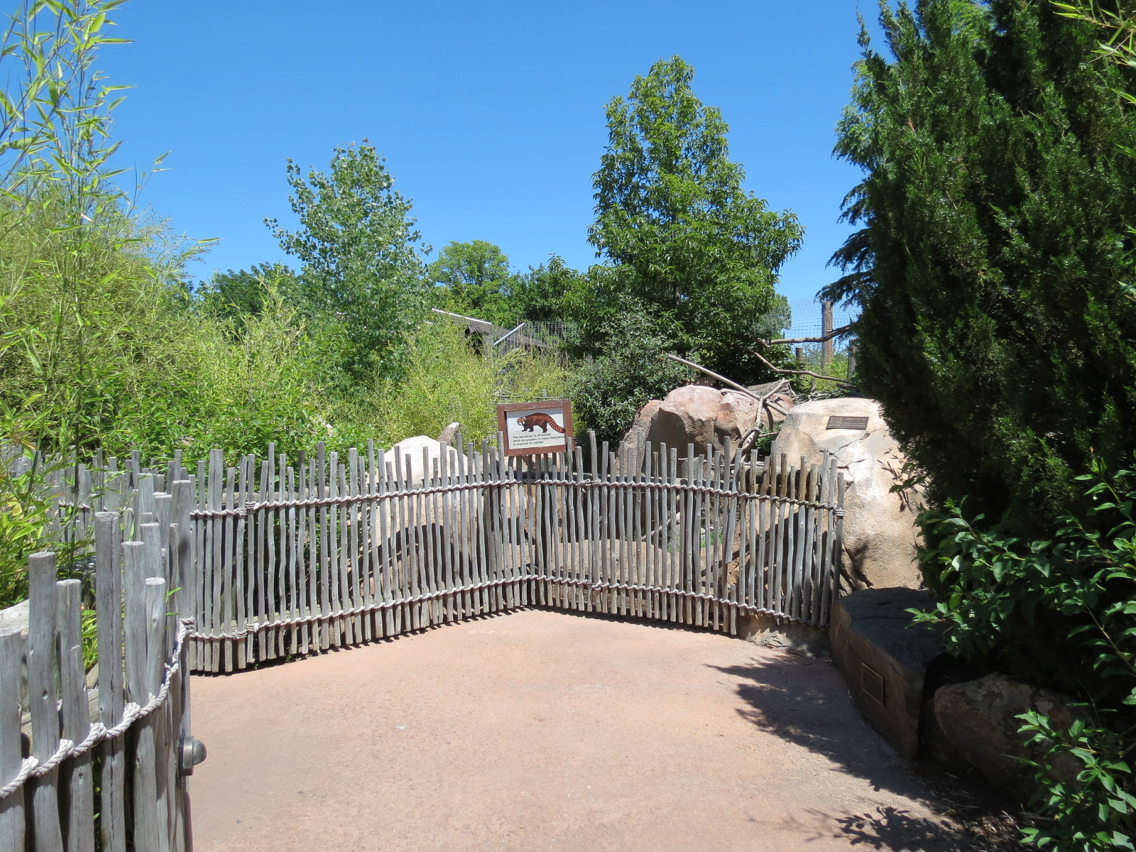 Tiger Trek - Red Panda Exhibit Viewing Area