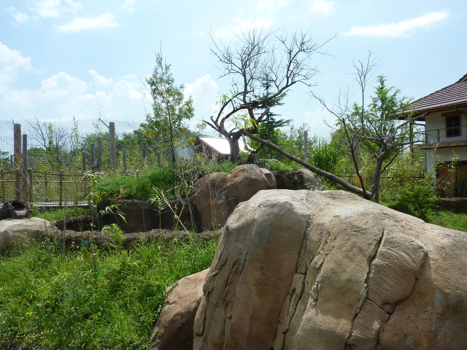 Tiger Trek - Red Panda Exhibit
