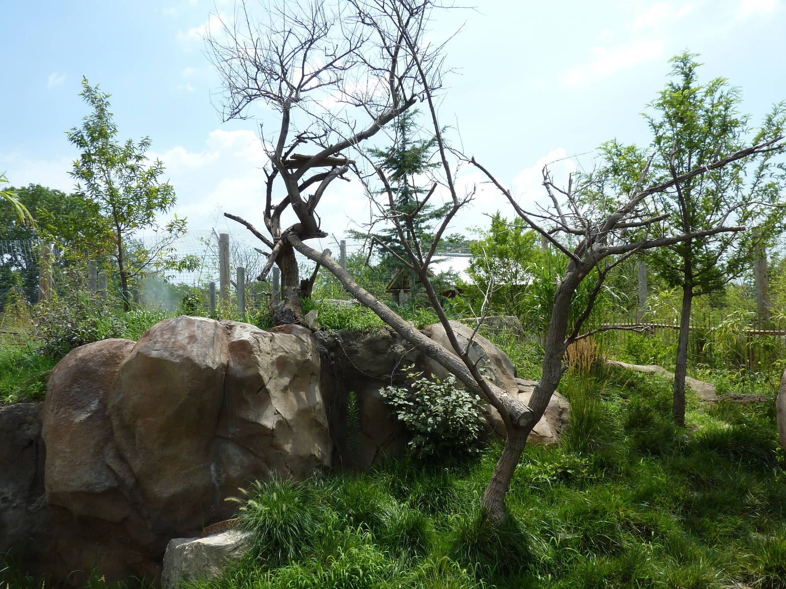 Tiger Trek - Red Panda Exhibit