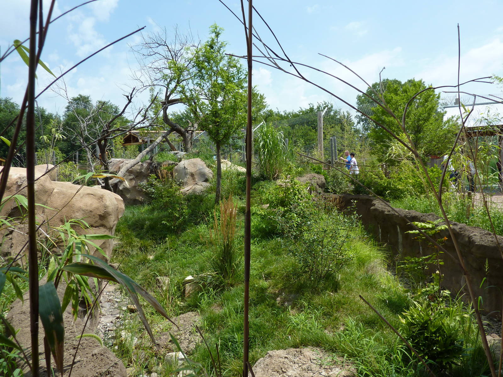 Tiger Trek - Red Panda Exhibit
