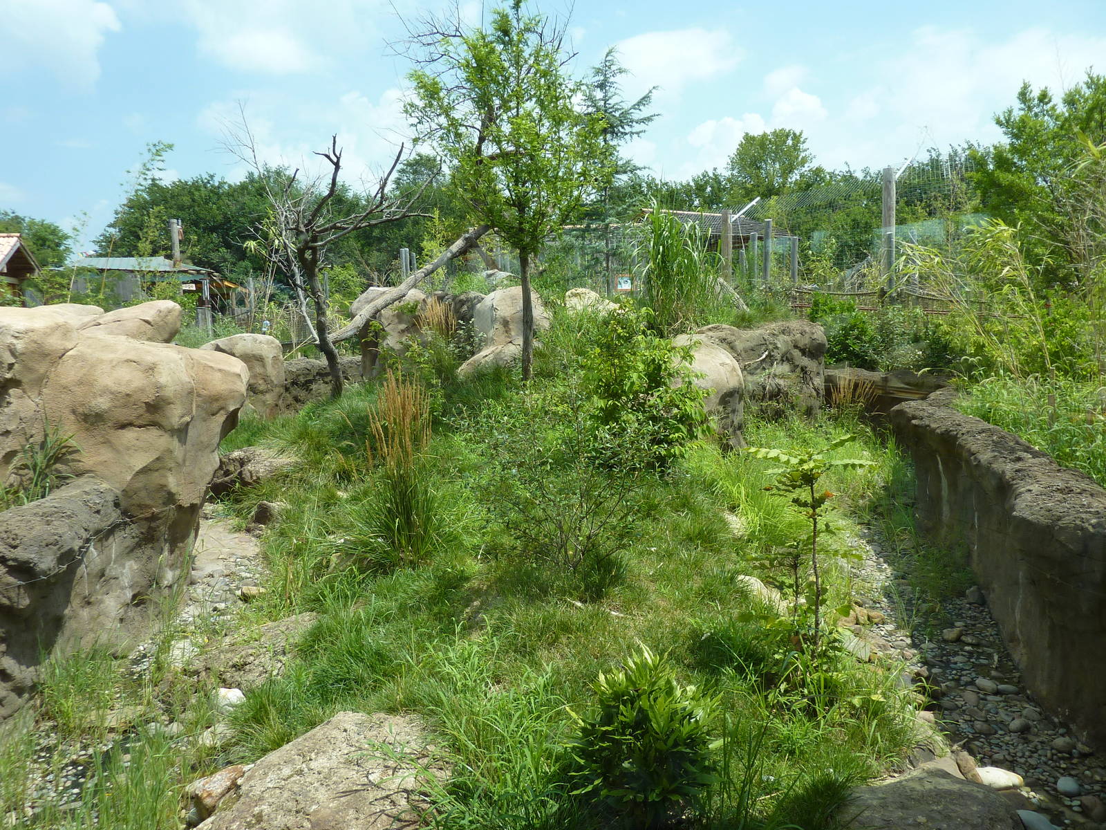 Tiger Trek - Red Panda Exhibit