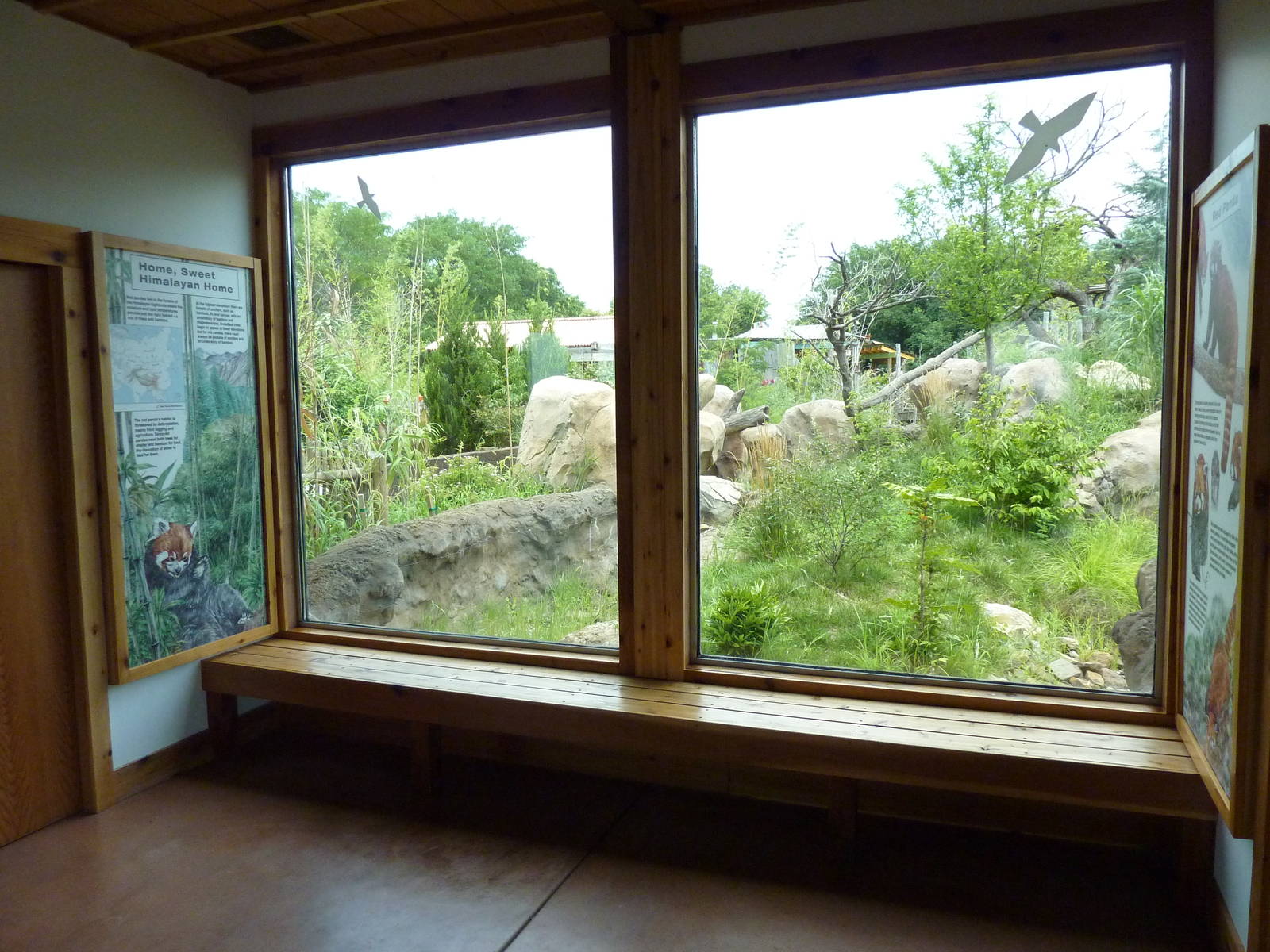 Tiger Trek - Red Panda Exhibit