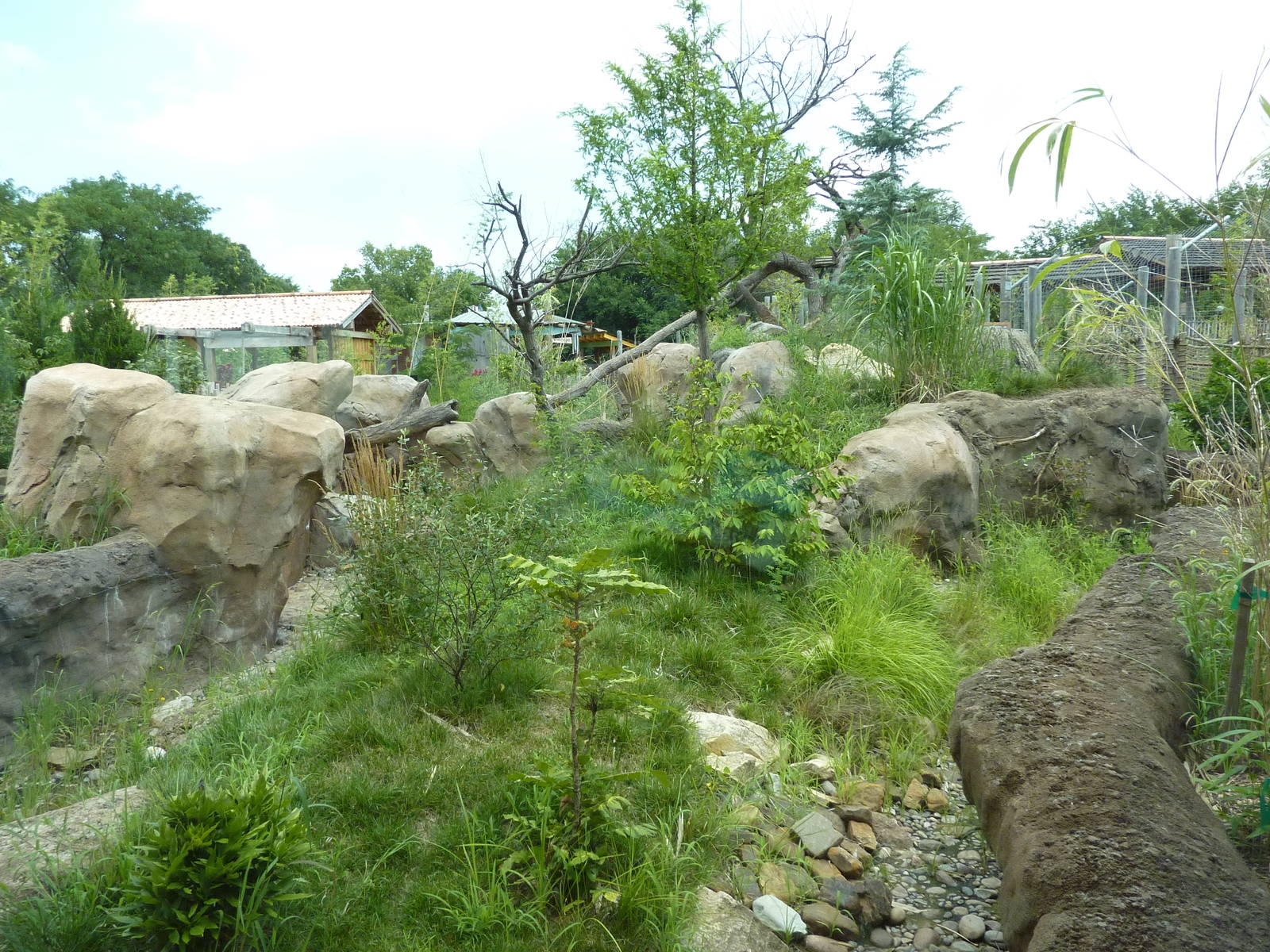 Tiger Trek - Red Panda Exhibit