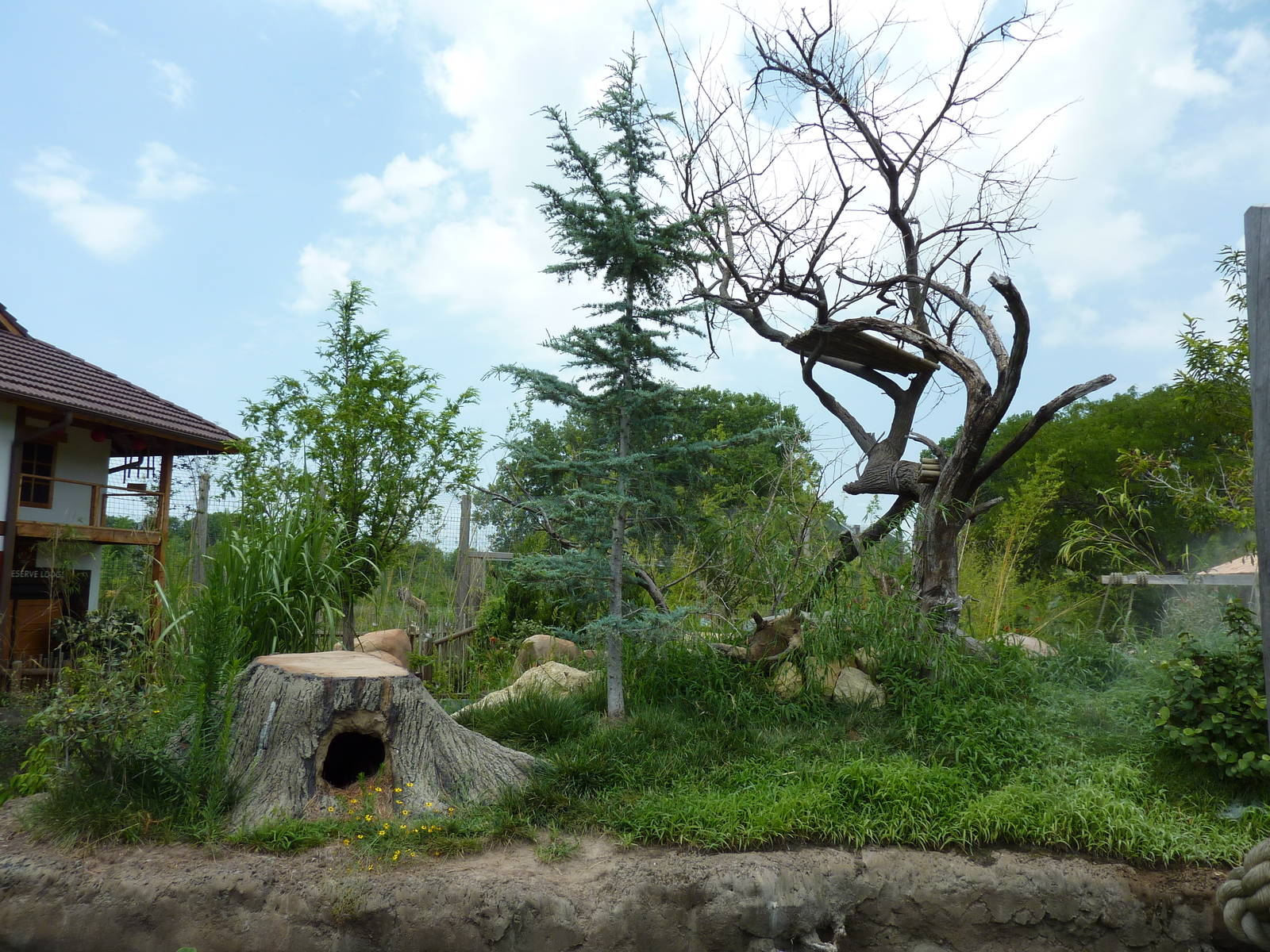 Tiger Trek - Red Panda Exhibit