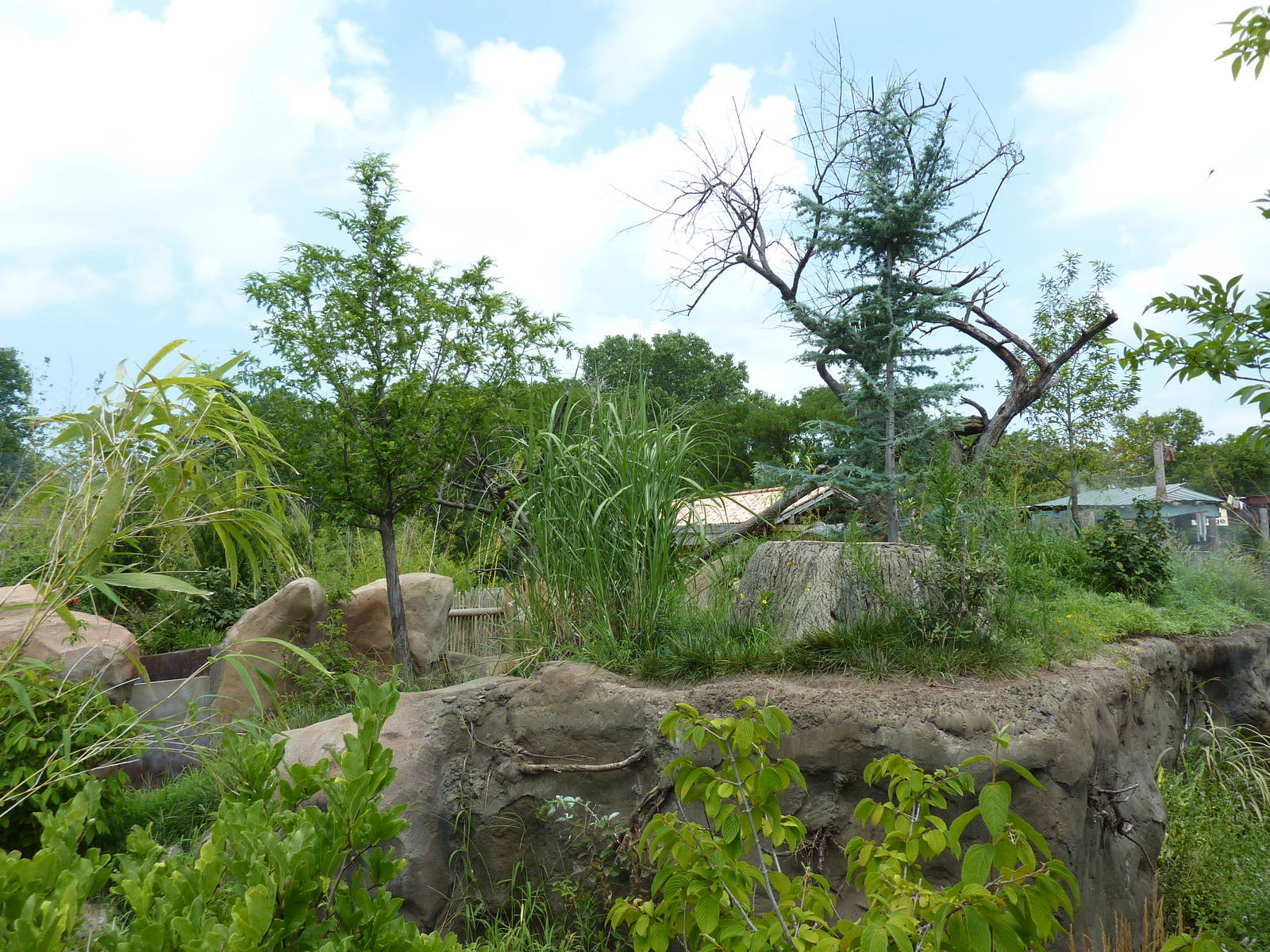 Tiger Trek - Red Panda Exhibit