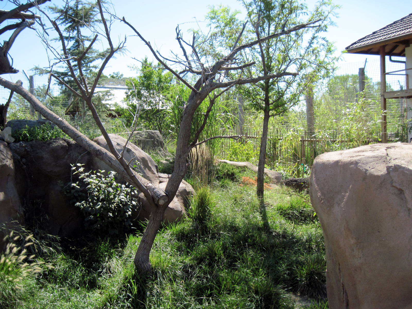 Tiger Trek-Red Panda Exhibit