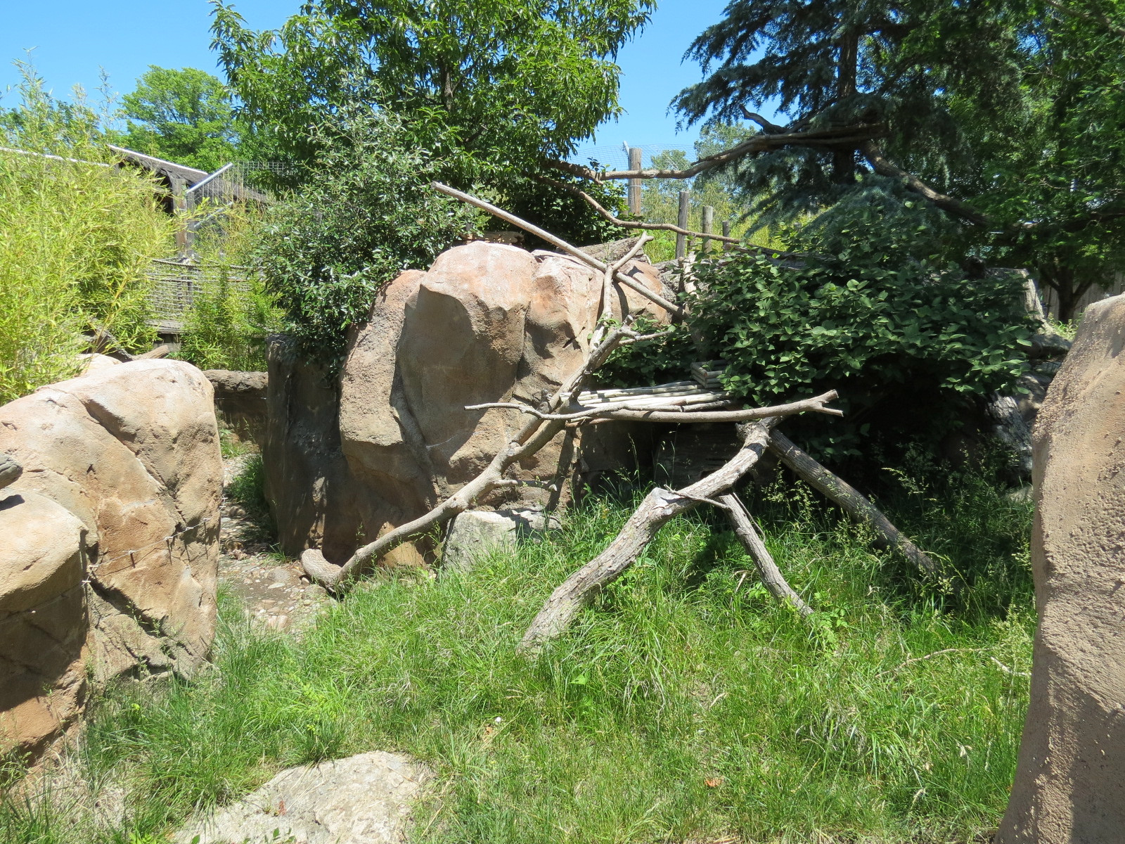 Tiger Trek - Red Panda Exhibit