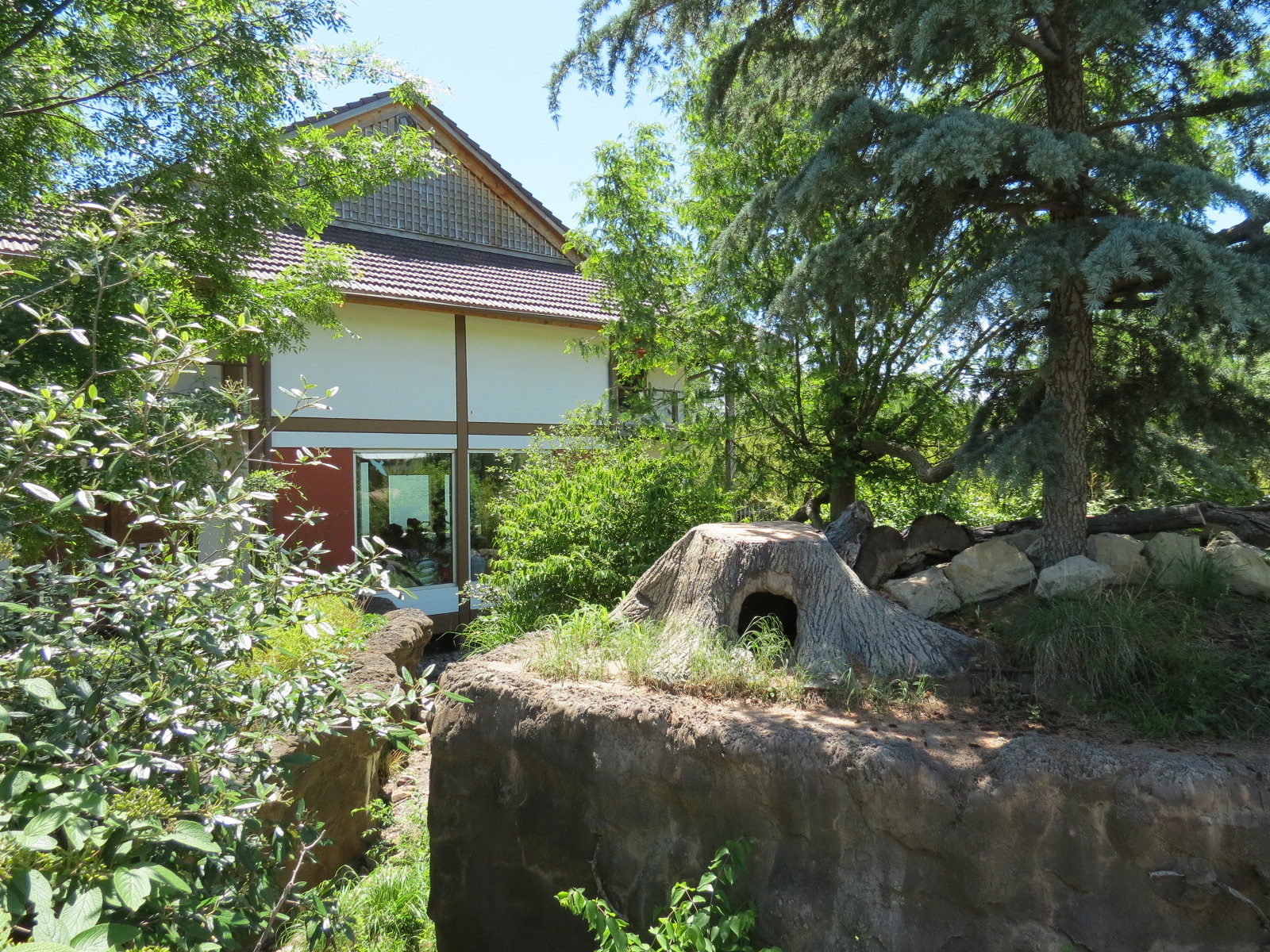 Tiger Trek - Red Panda Exhibit