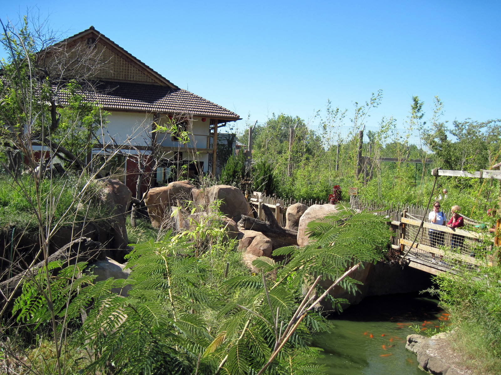 Tiger Trek-Red Panda