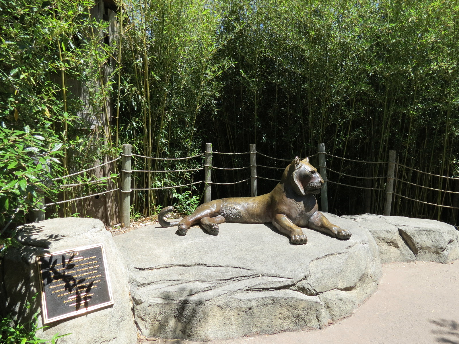 Tiger Trek - Sculpture