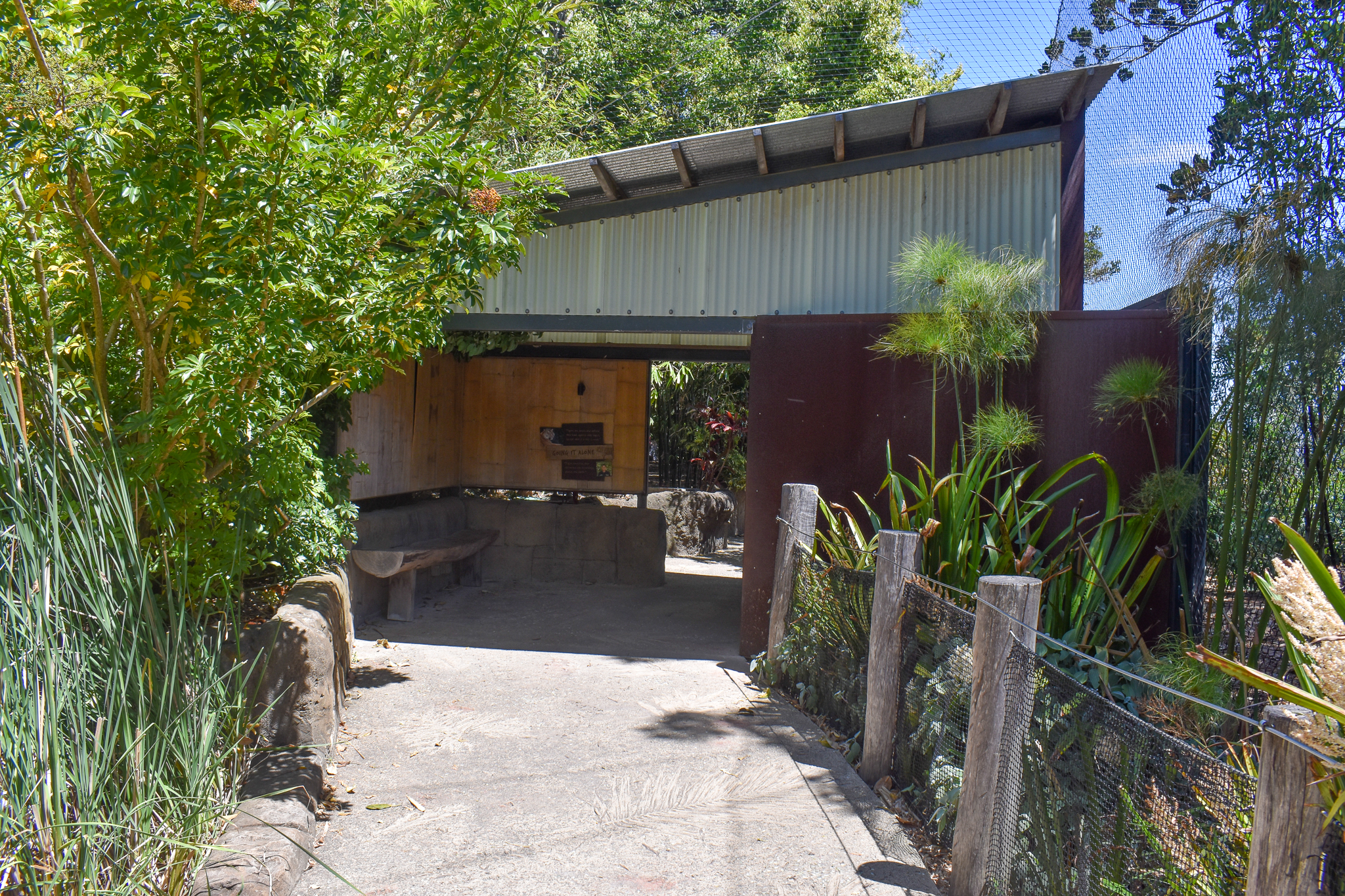 Tiger Trek - Second Sumatran Tiger Enclosure Viewing Area