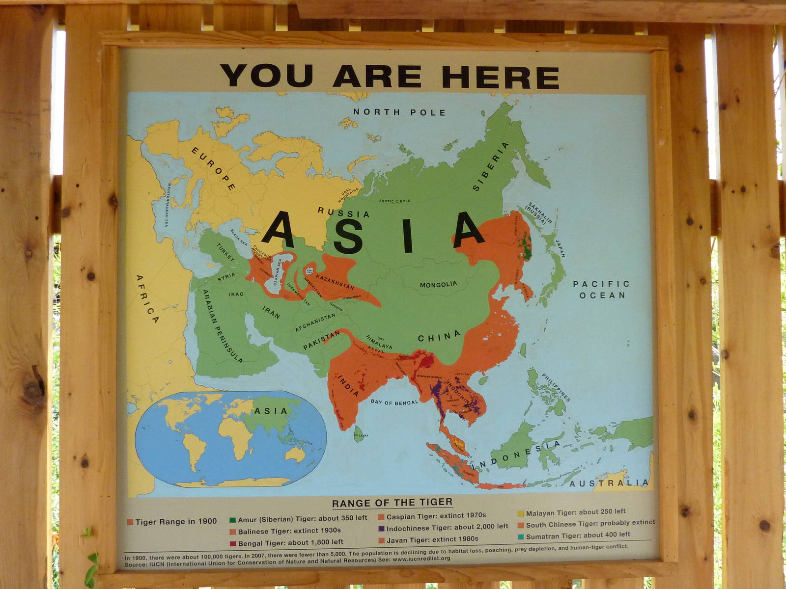 Tiger Trek - Signage