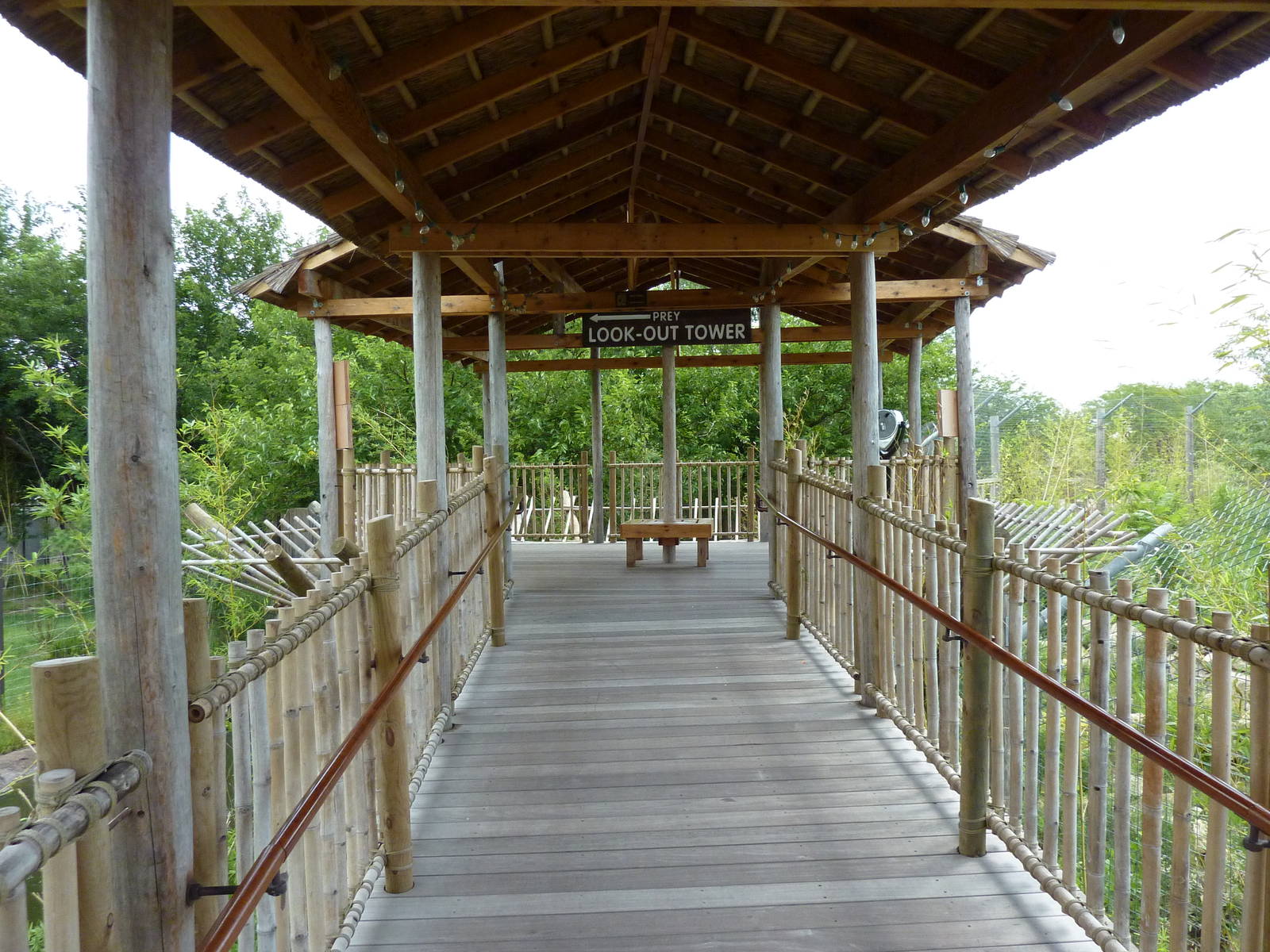 Tiger Trek - Tiger/Deer Overlook