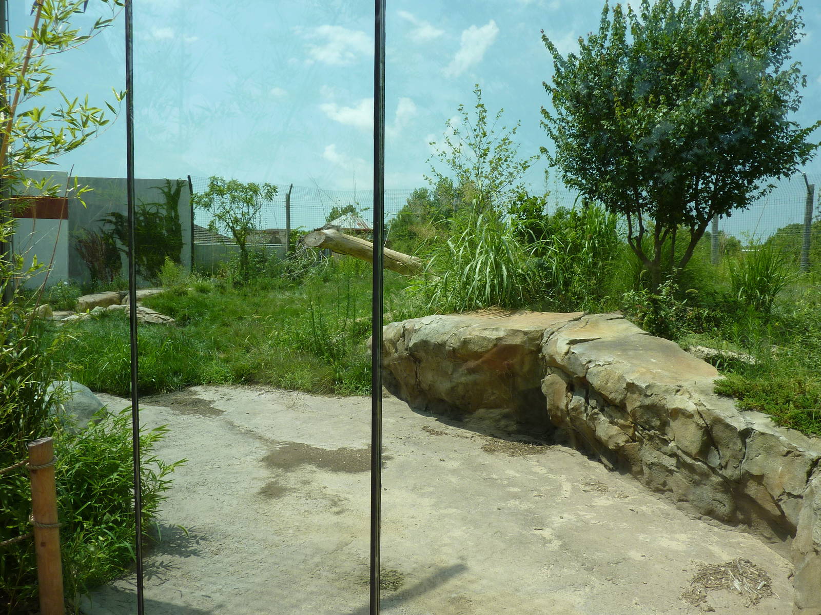 Tiger Trek - Tiger Exhibit