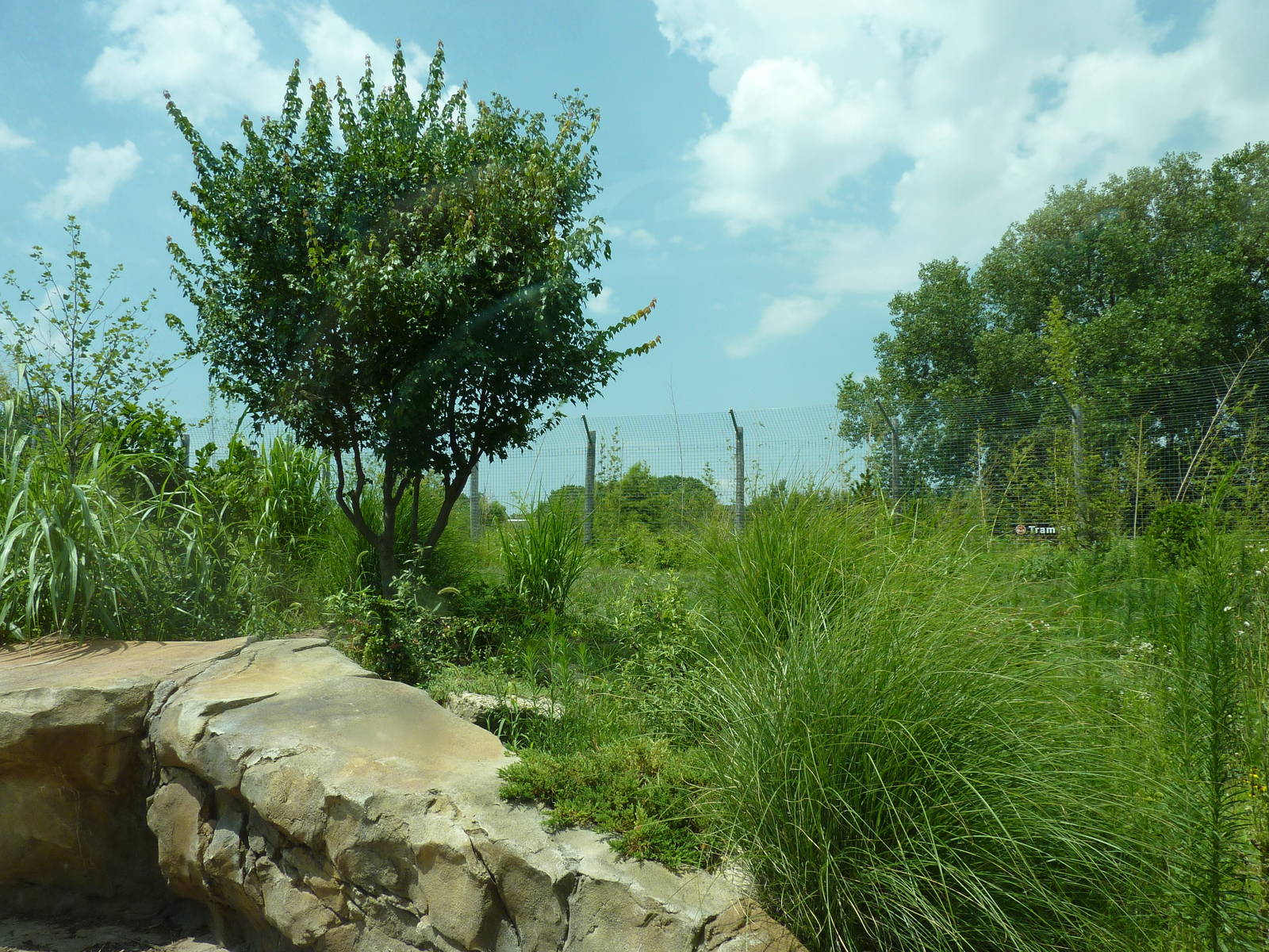 Tiger Trek - Tiger Exhibit