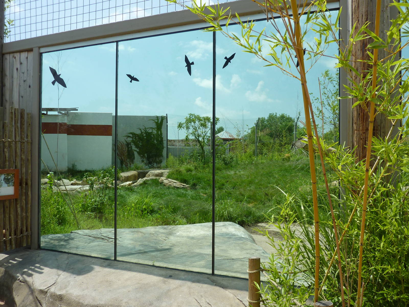 Tiger Trek - Tiger Exhibit