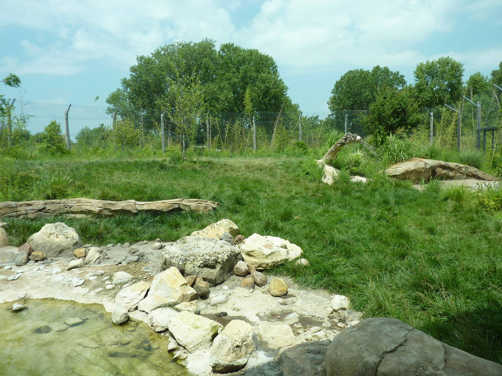 Tiger Trek - Tiger Exhibit
