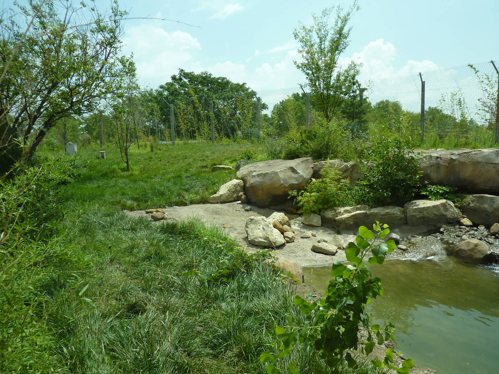 Tiger Trek - Tiger Exhibit