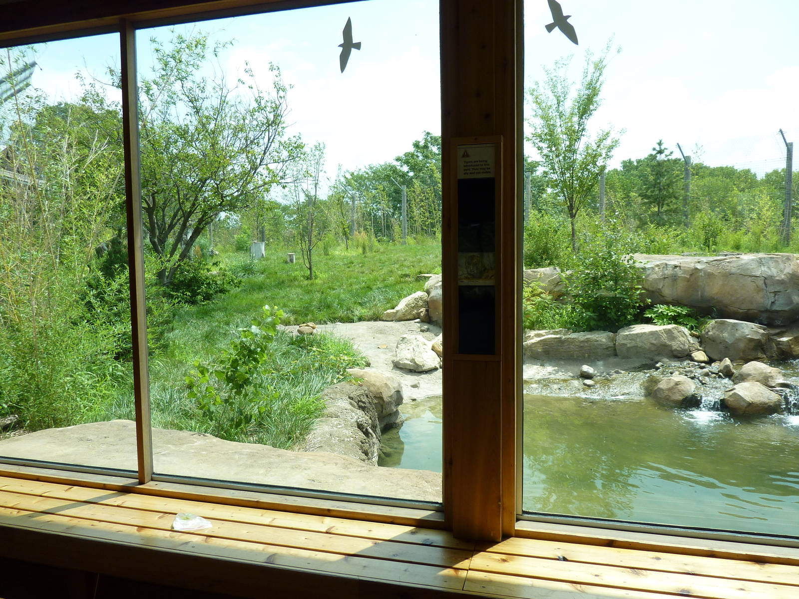 Tiger Trek - Tiger Exhibit