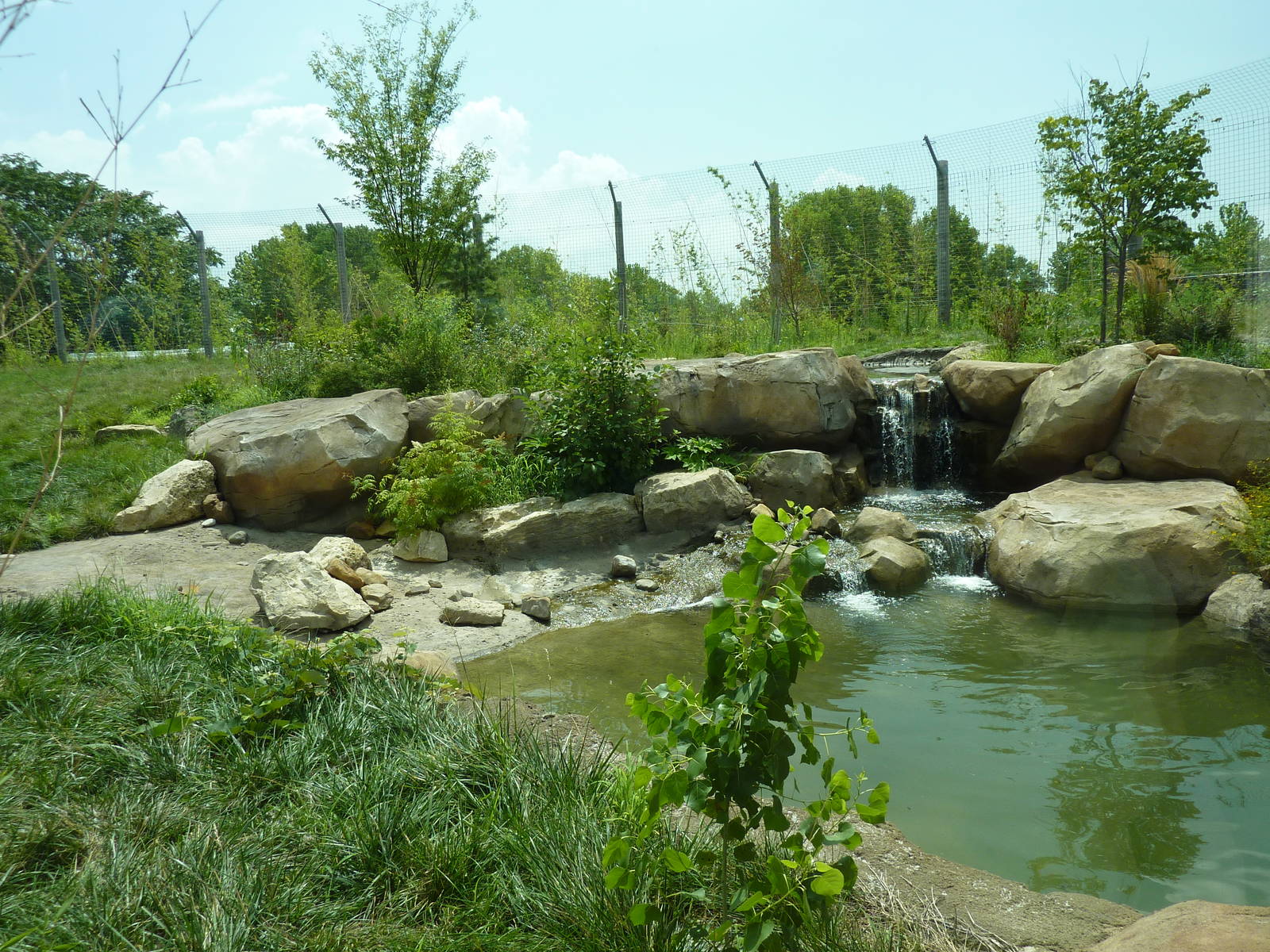 Tiger Trek - Tiger Exhibit