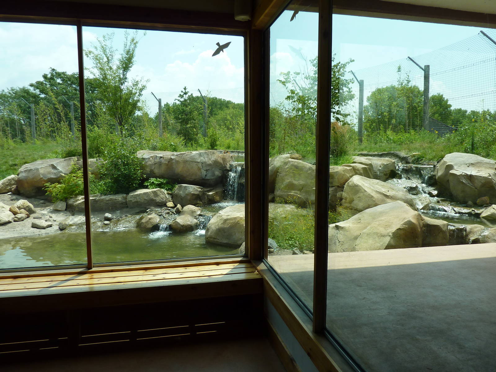 Tiger Trek - Tiger Exhibit