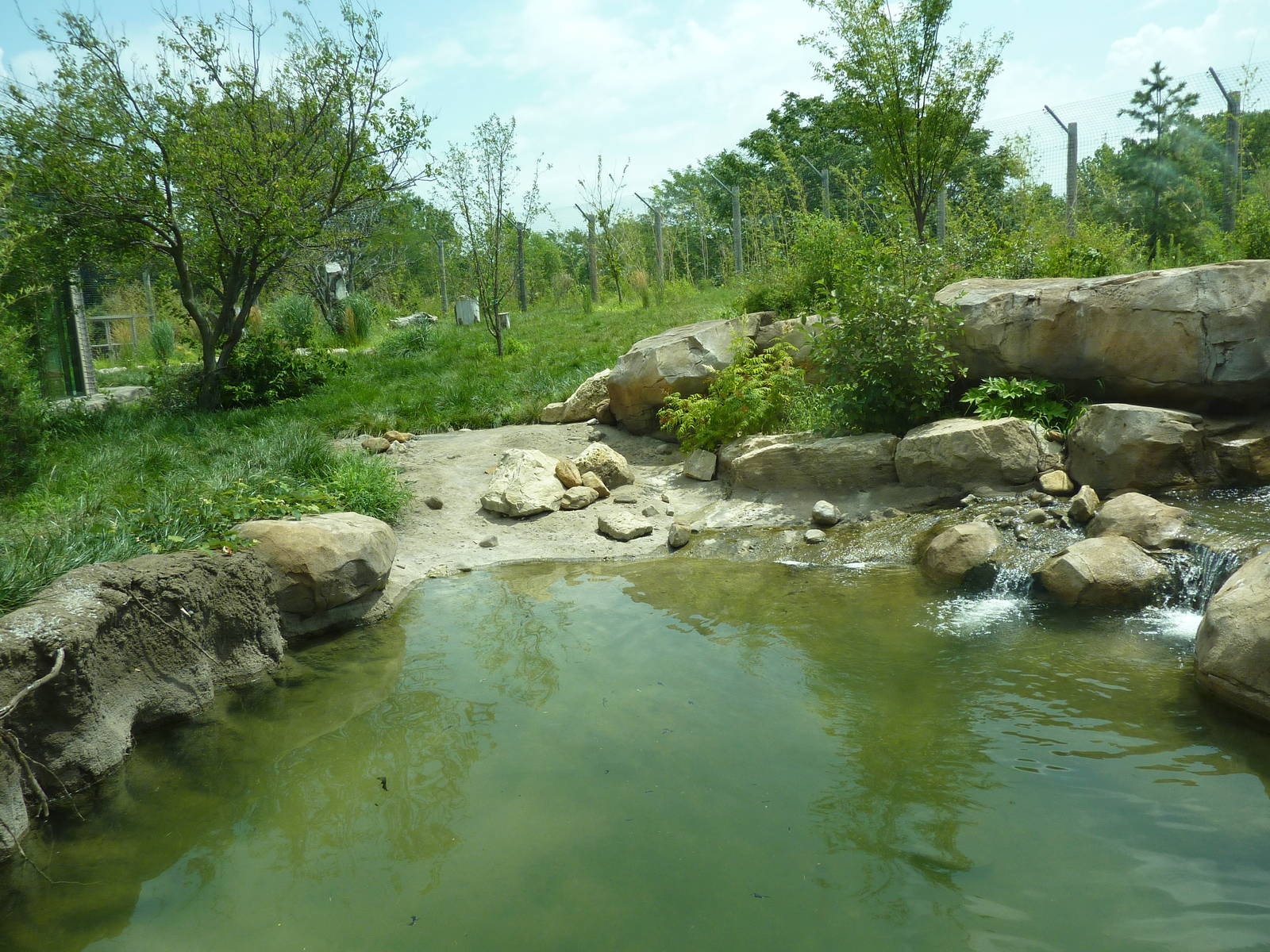 Tiger Trek - Tiger Exhibit