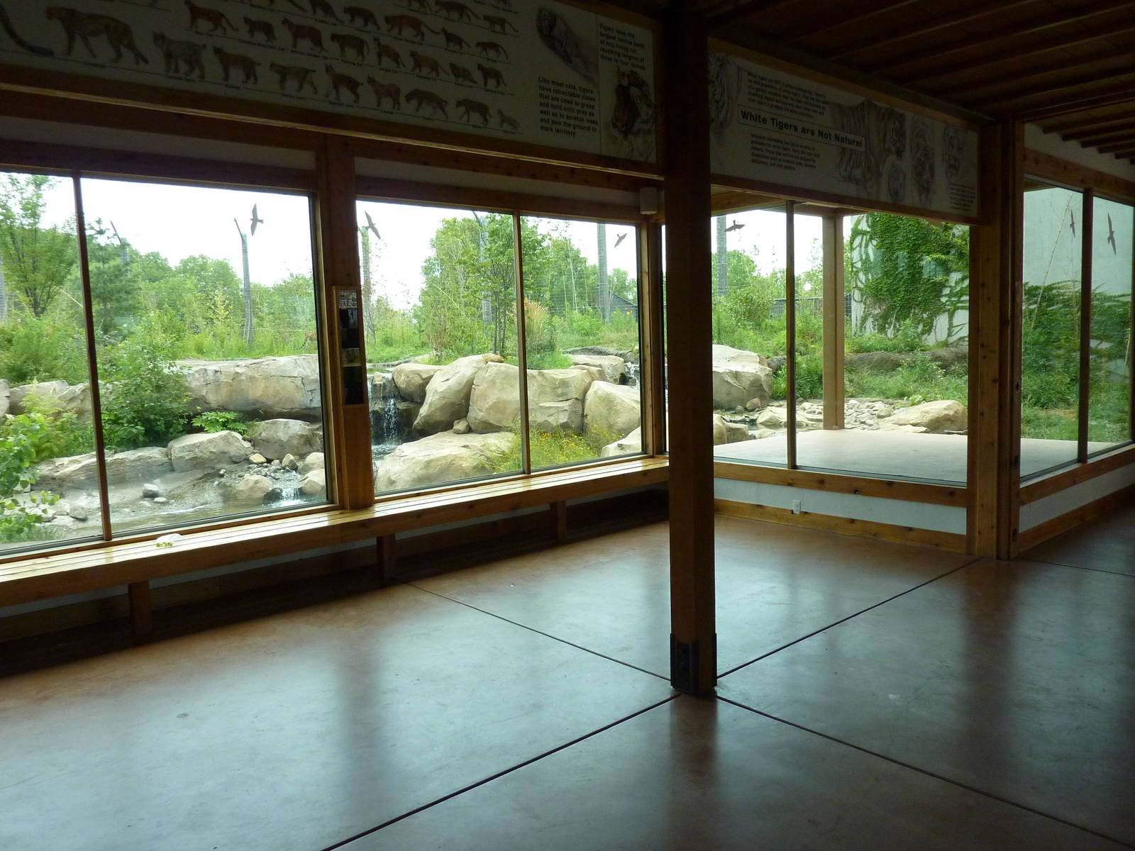 Tiger Trek - Tiger Exhibit