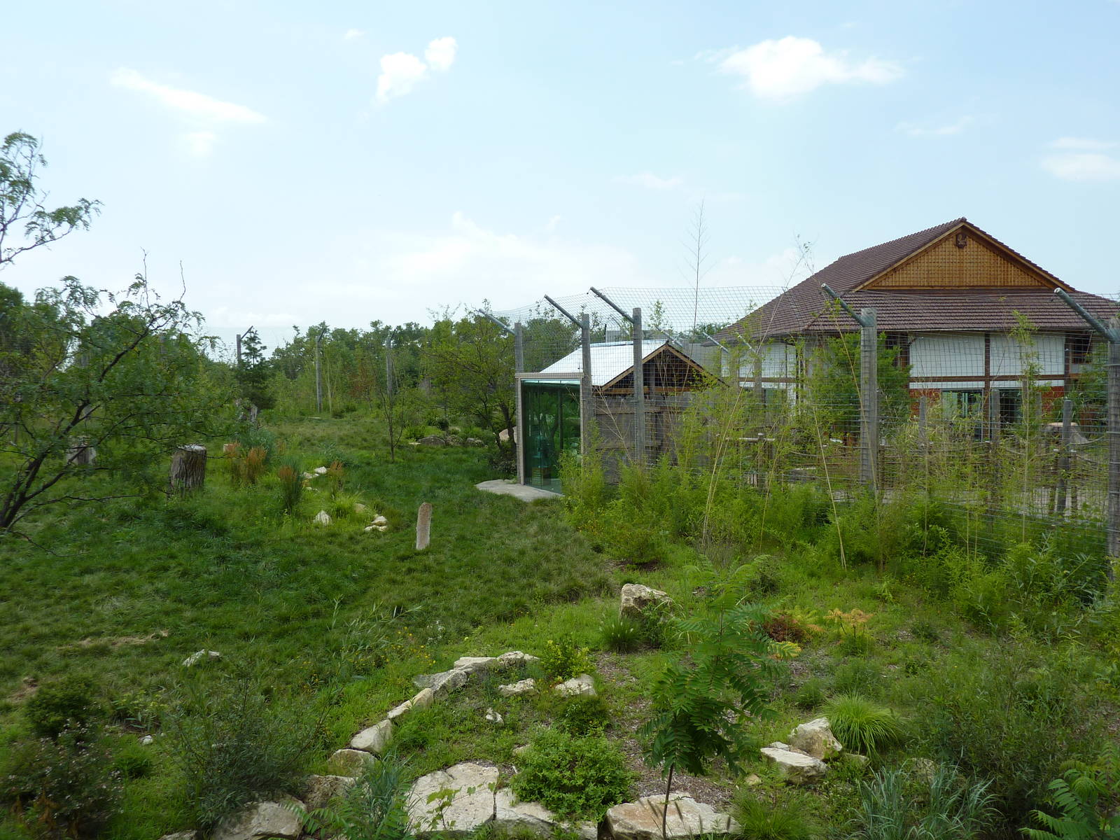 Tiger Trek - Tiger Exhibit