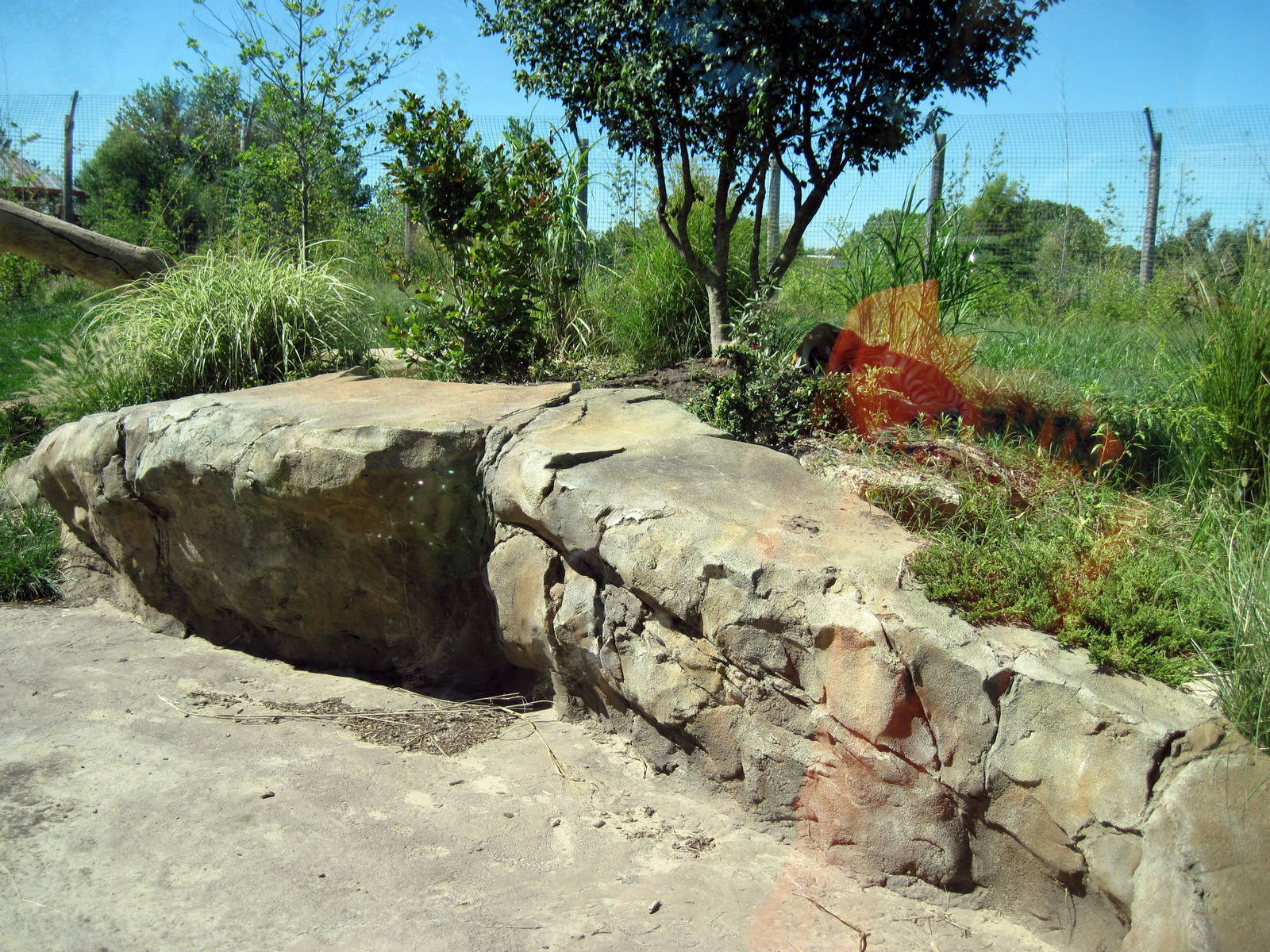 Tiger Trek-Tiger Exhibit