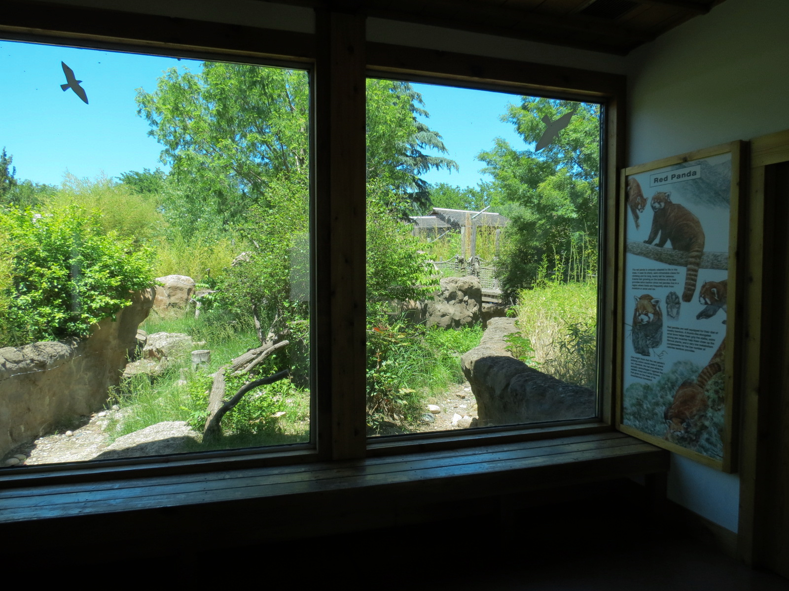 Tiger Trek - Tiger Reserve Lodge View of Red Panda Exhibit