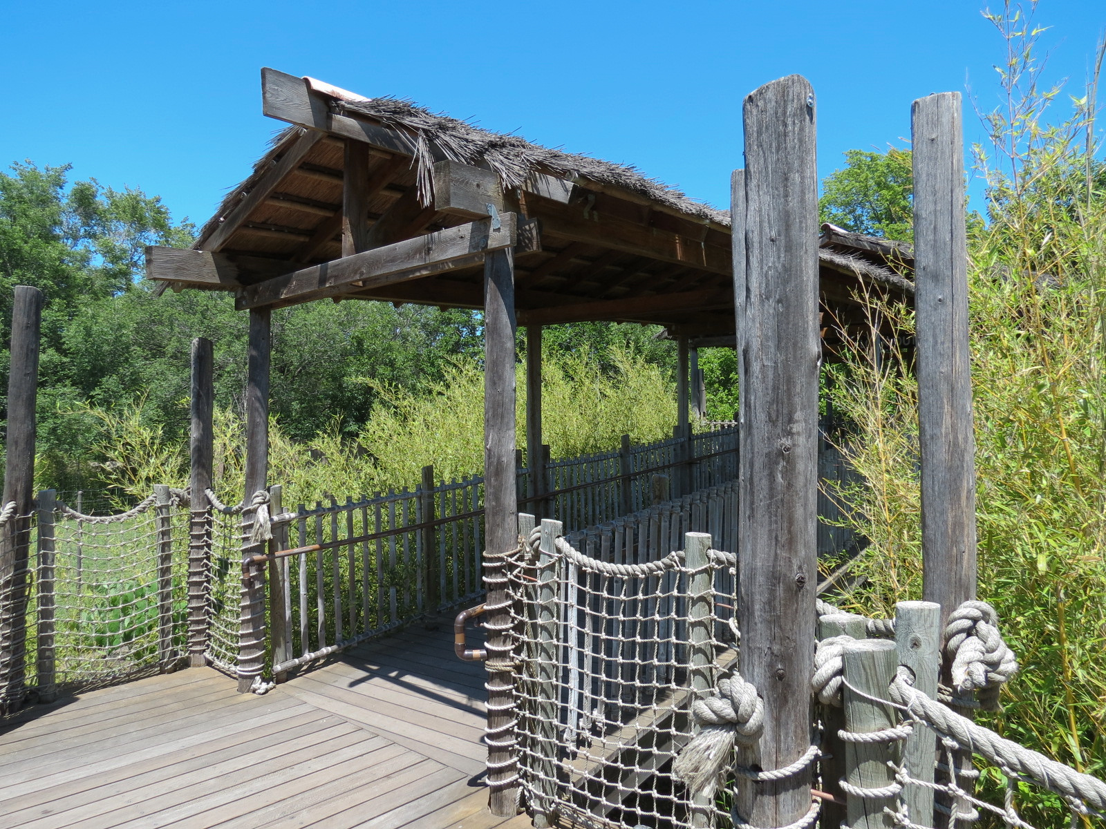 Tiger Trek - Viewing Shelter