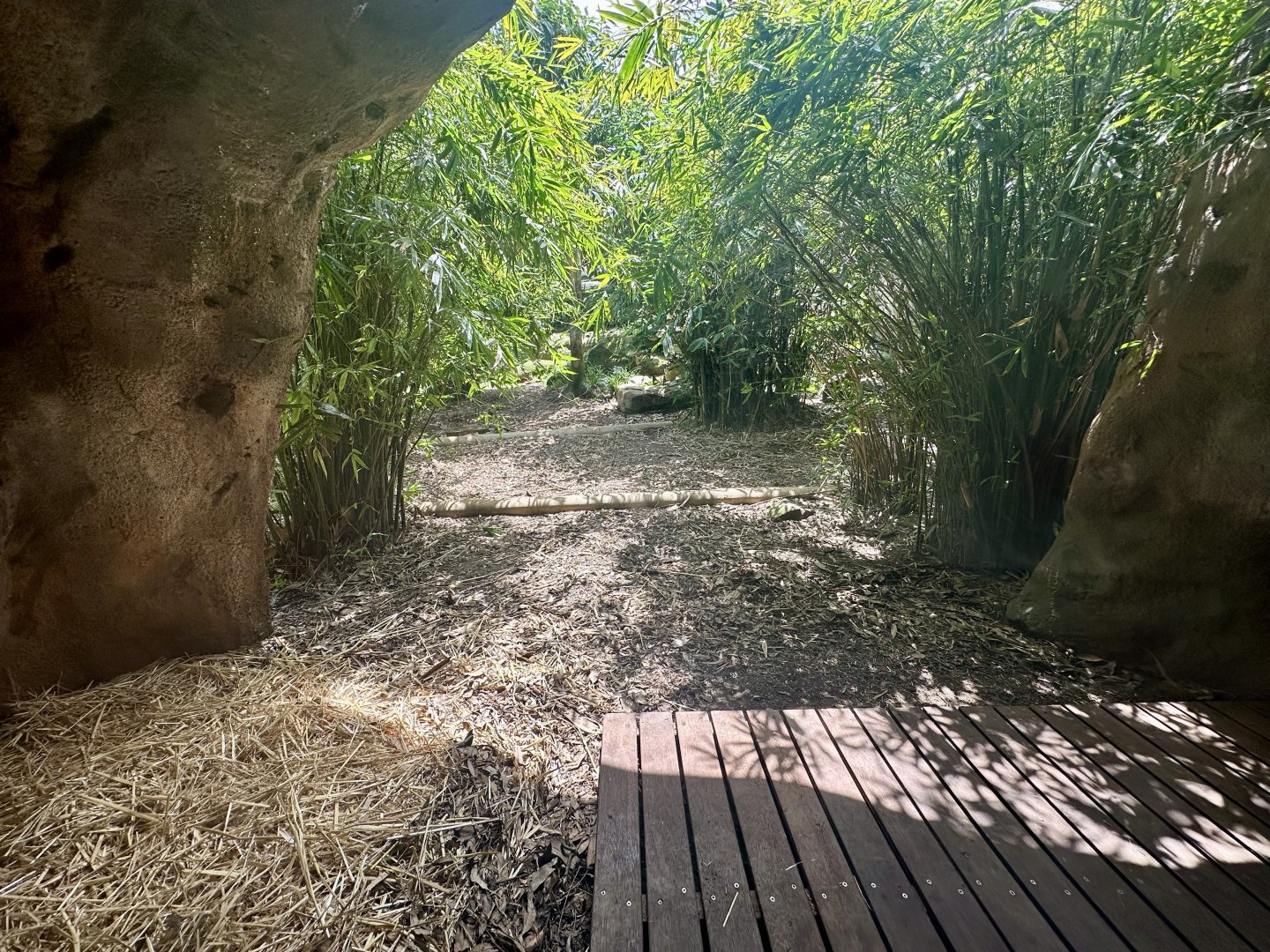 Tiger Trek - Waterfall Exhibit