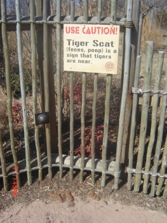 Tiger Trek