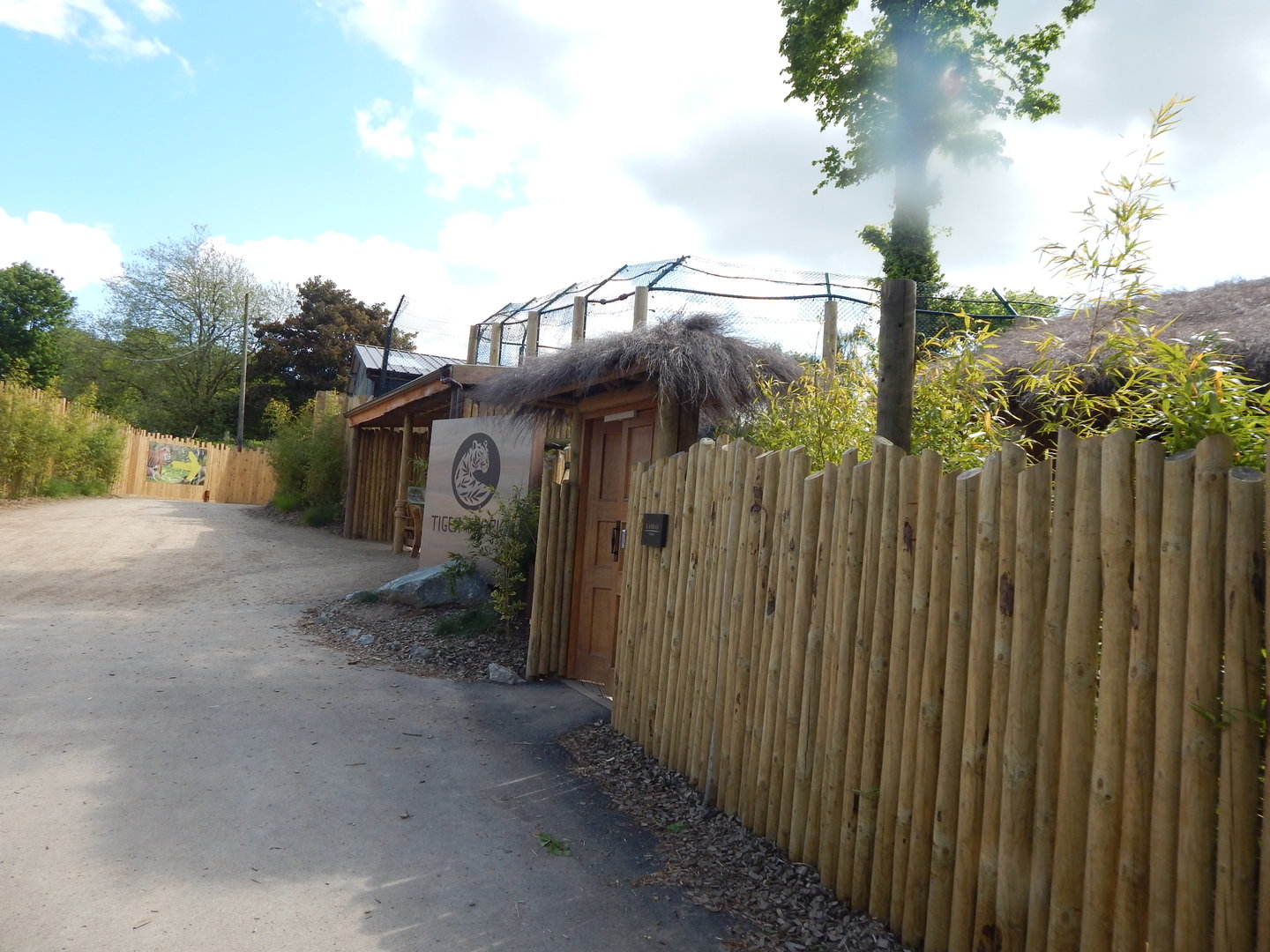 Tiger Tropics 150523