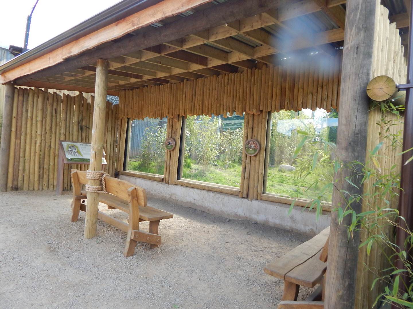 Tiger Tropics 150523