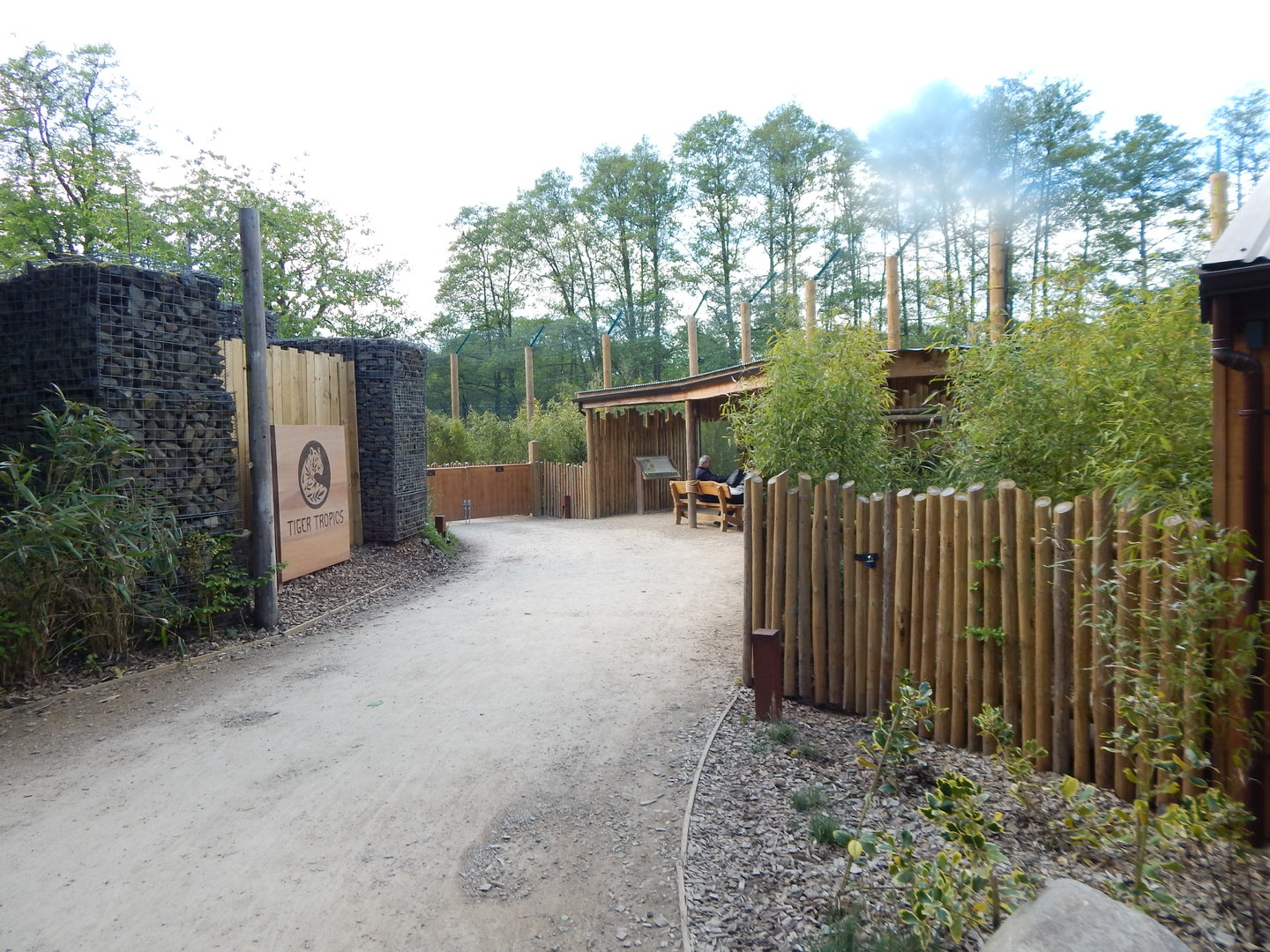 Tiger Tropics 150523