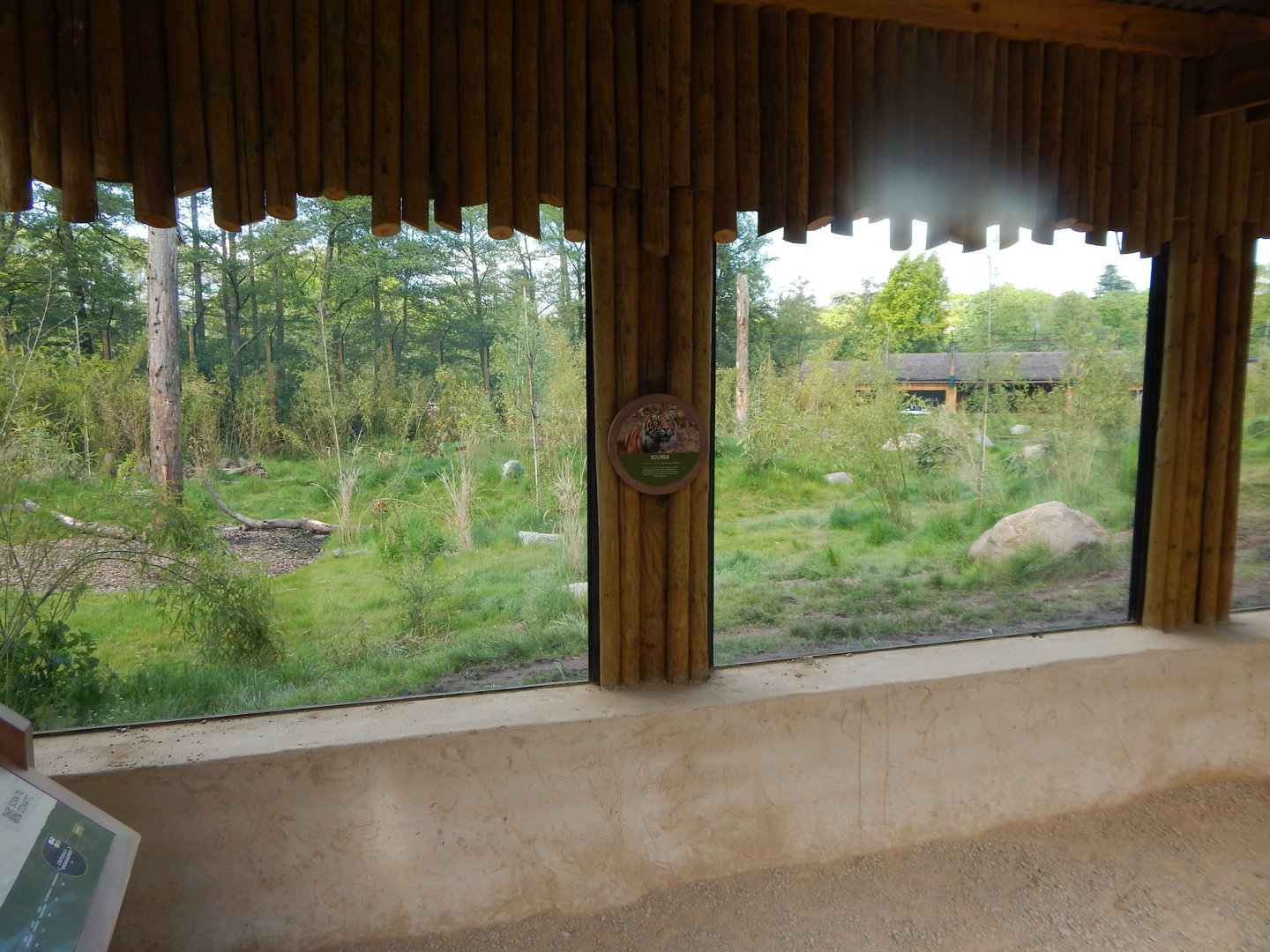 Tiger Tropics 150523