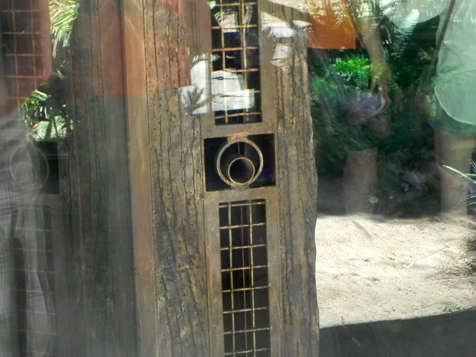 Tiger tug of war hole Tiger Trail