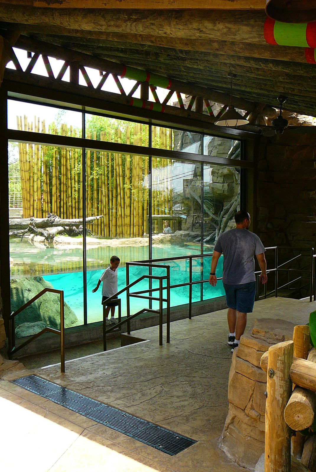 Tiger Underwater Viewing - Jungala