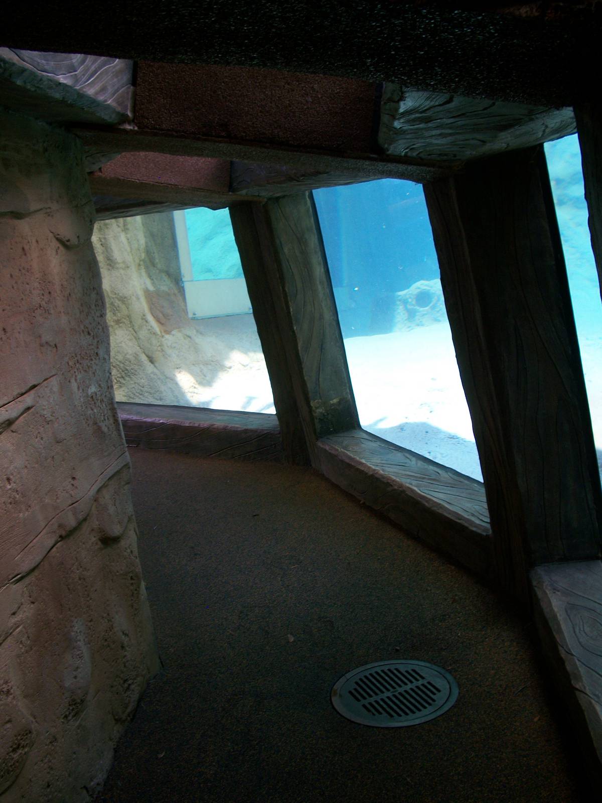 Tiger Underwater Viewing Tunnel