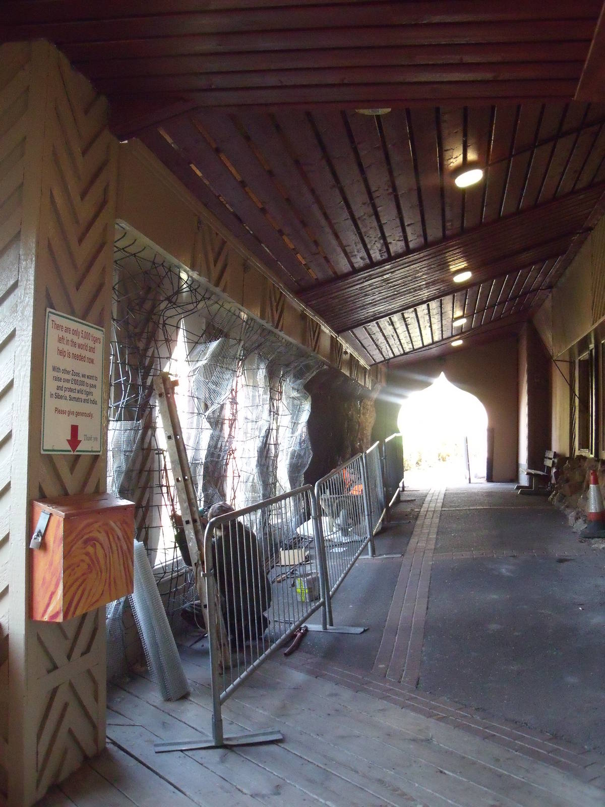 Tiger Valley 13 Oct 2009