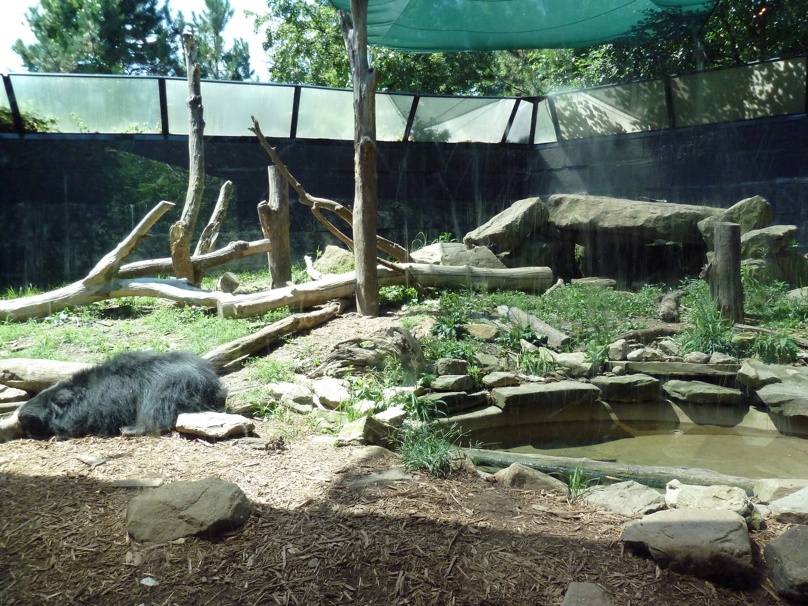 Tiger Valley - Sloth Bear Exhibit