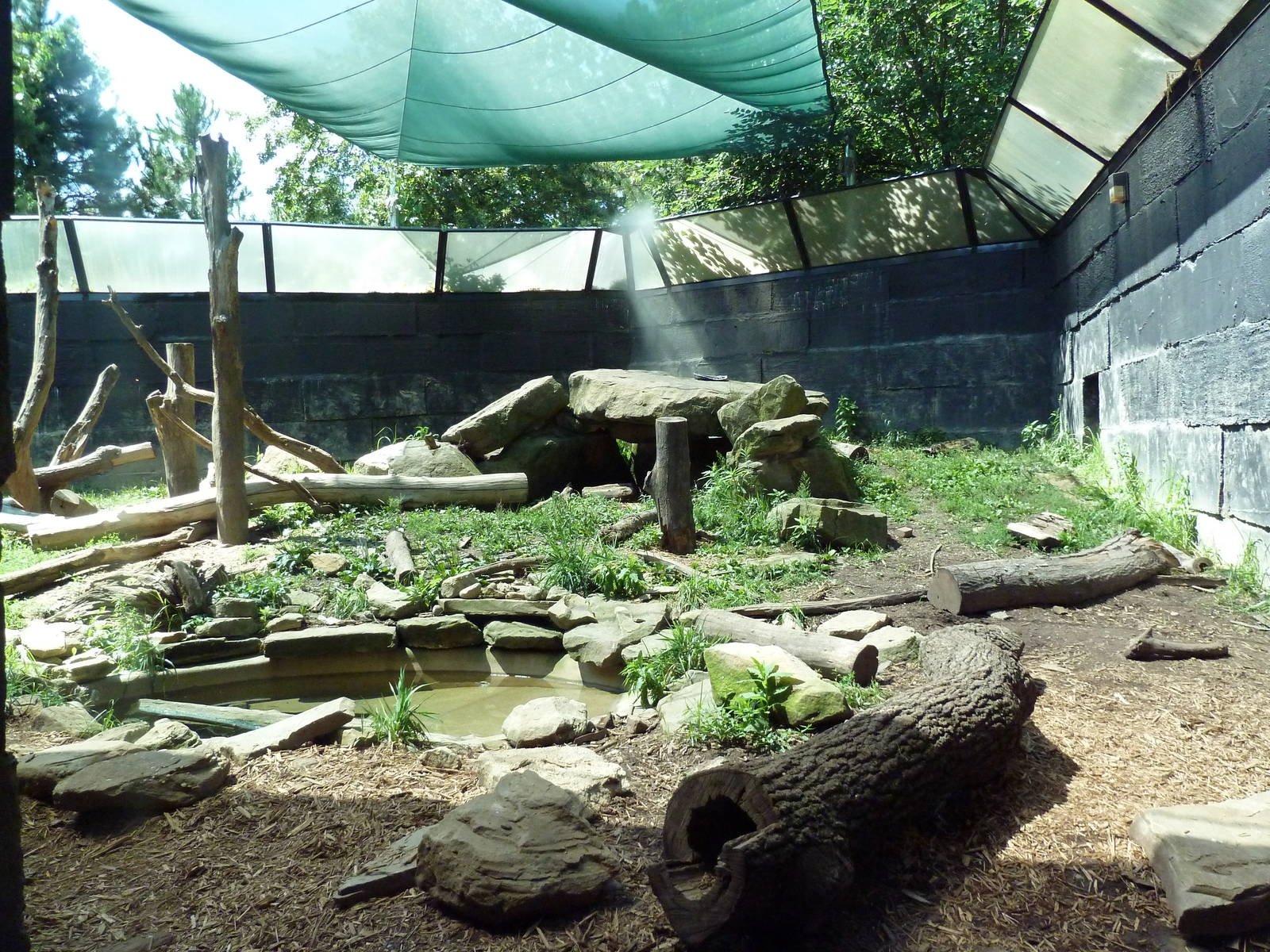 Tiger Valley - Sloth Bear Exhibit
