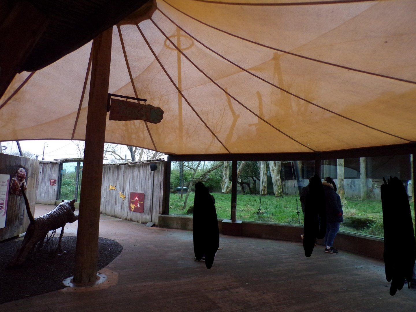 Tiger viewing area 11.2.25