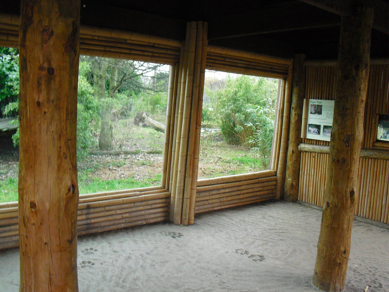 Tiger Viewing Area - 16/02/2011