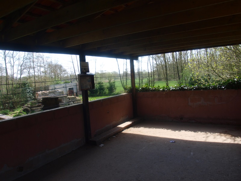 Tiger viewing area (April 19th, 2015)