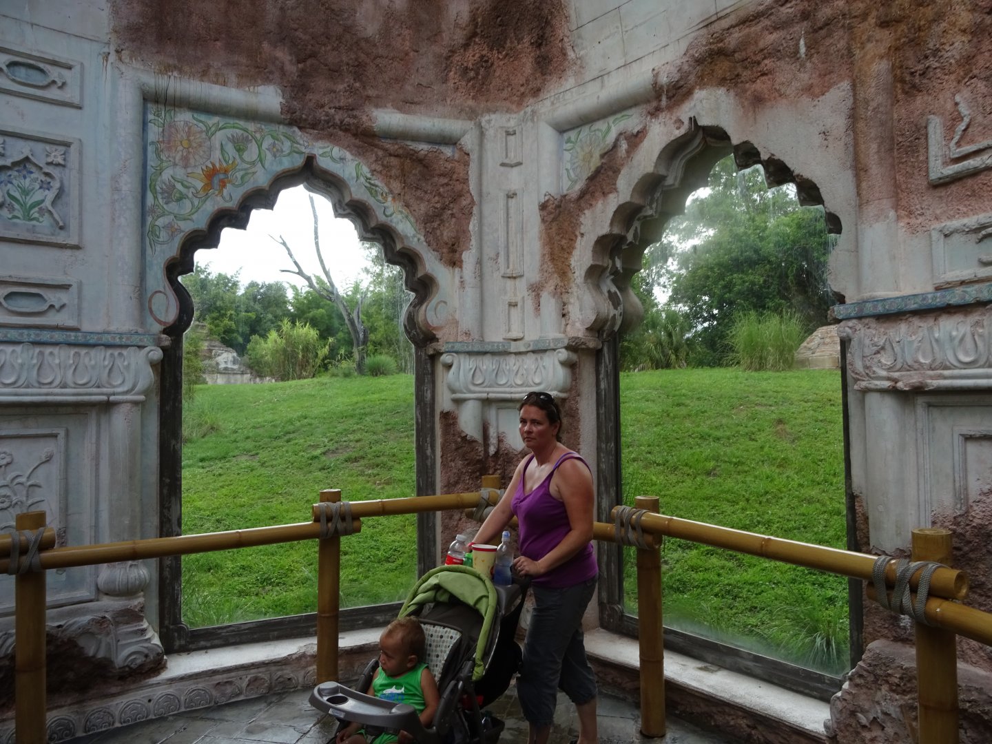 Tiger Viewing Area at Disney's Animal Kingdom (2014)